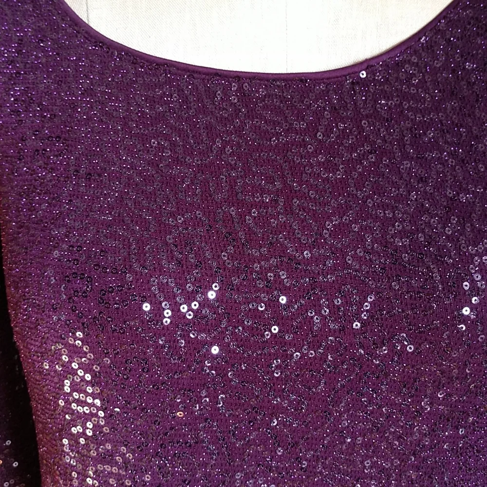CHRISTMAS #18 NWT EXPRESS LS Glittery Grape Sequined Sheath Dress NWT - Picture 3 of 8